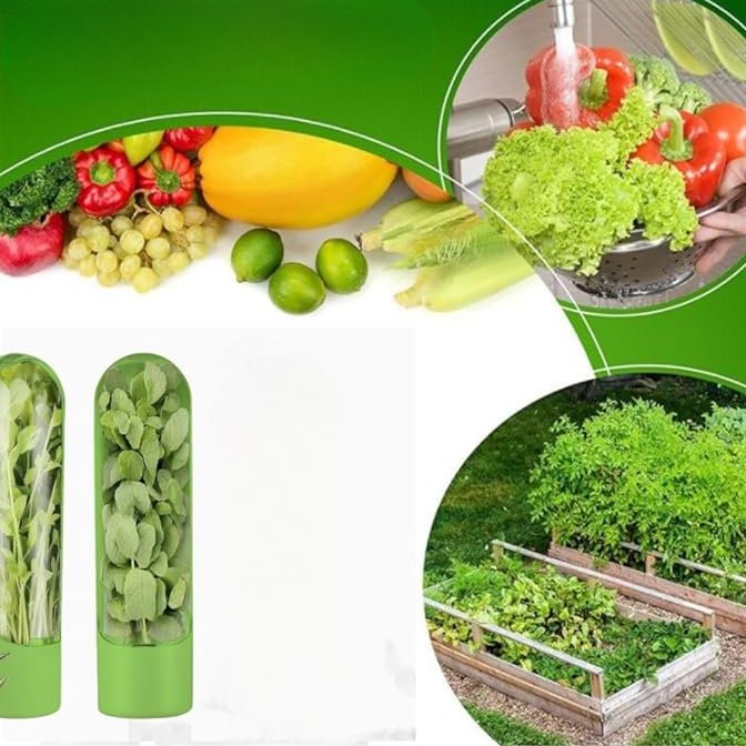 Récipient de Stockage - VeggieCrisp™ - Vert - tous pour la cuisine